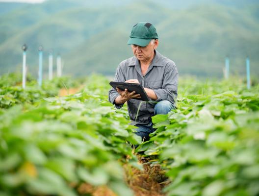 image for Agriculture branch