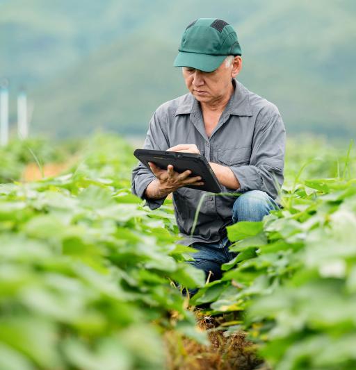 What the agriculture dector can learn from Landpower image