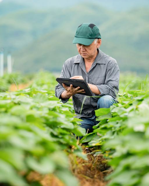 What the agriculture dector can learn from Landpower