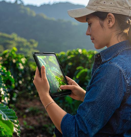 Zebra tablet in landbouw veld