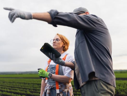 <p><strong>Smart farming: </strong>From data to direct action</p> image