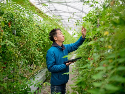 <p>Geen IT-zorgen tijdens het hoogseizoen</p> image