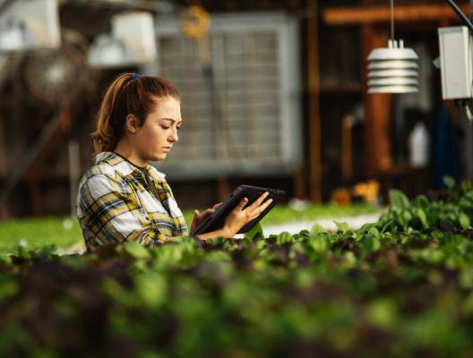 <p>Zebra-technologie</p> image