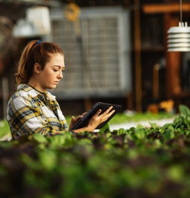 Digitale transformatie in de Agrarische sector image