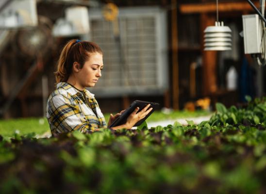 Digitale transformatie in de Agrarische sector