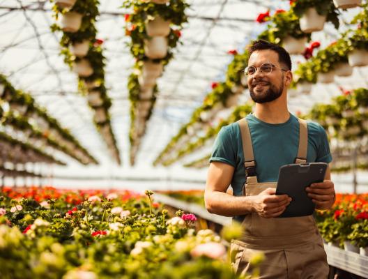 <p>Trends en kansen voor agrarische bedrijven in Nederland</p> image